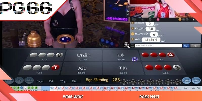 Người mới bắt đầu có thể thích nghi nhanh với xóc đĩa online