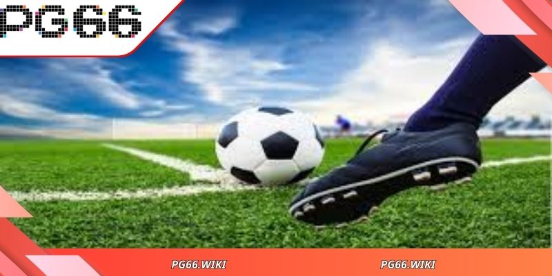 Người mới dễ dàng tiếp cận kèo rung dễ hiểu